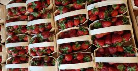 Postre de fresas variedad Grandarosa Arosa Roksana. Te invito