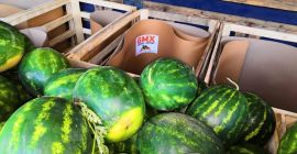 Venderé sandías de Grecia. Variedad Celine y Florini. Calibre