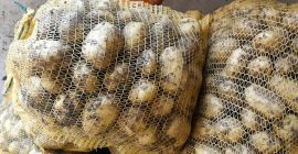 Venderé papas comestibles 40+ Denar