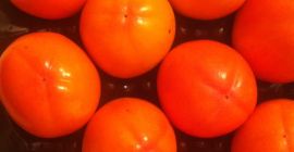 El productor español vende caquis en Polonia, Ucrania, Rusia,