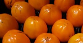 El productor español vende NARANJAS, TANGERINAS, SANDÍAS, PATATAS TEMPRANAS,
