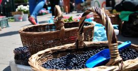 Venderé arándanos recogidos a mano, 19 PLN por kg.