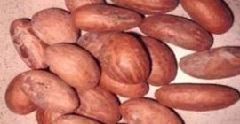 Soy un vendedor de Bitter Kola. Estos son algunos