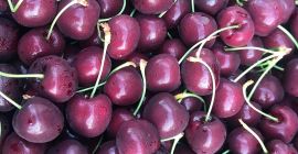 Cerezas griegas, Kordia. Entrega fresca 26+ y 28+ calibres