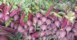 Hola. Remolacha roja para la venta.