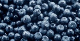 Hola. Venderé arándanos. Estoy buscando un destinatario habitual. Te