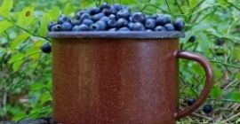 Venderé arándanos, grandes cantidades. Precio por litro 18 PLN