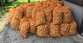 Venderé papas de la variedad Denar.