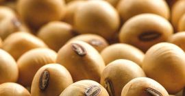 con buen envío del producto no es gratis