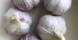 Estoy vendiendo ajo ECO.