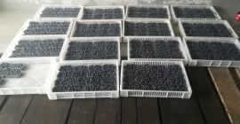Arándanos para la venta