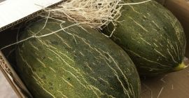 ¡Hola! ¡Ofrezco frutas y verduras al por mayor de