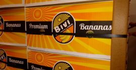 Ventas engros depozito verona importado directo de Costa Rica,