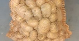 Venderé papas Lord y Denar Copias a pedido con