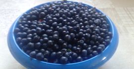 El bosque Berry es muy sabroso.