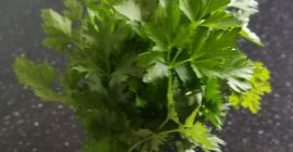 Quiero vender perejil por un montón de PLN 1