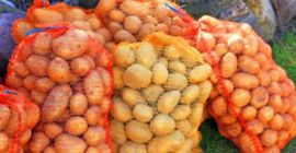 Hola, vendo papas, productos bonitos y gruesos, para más