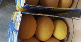 Ordenar &quot;żuldyż&quot; entrega urgente en 5 días!