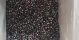 Venderé grosellas negras de Bielorrusia, congeladas, limpiadas mecánicamente. Tel.