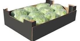 we are a company that distributes fruits and vegetables