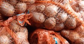 Venderé plantas jóvenes de irga, vineta, calibre 4+.