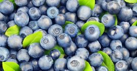 Venderé arándanos frescos