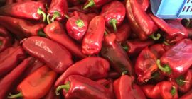 Pimiento rojo industrial. Se adjunta foto original. Tenemos nuestro