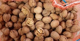 Hola, vendo nuez con cáscara. Calibración posible por un