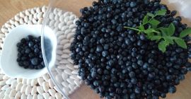 Venderé 5 litros de bayas del bosque recolectadas a