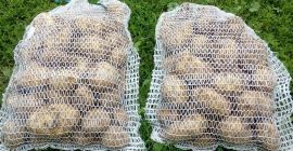 Patatas de tu propia finca. Precio 1 PLN por