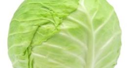 soy de kosova soy un sembrador y comerciante de