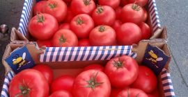 Hola, vendo tomate frambuesa 1 categoría BBB. CAMA Y