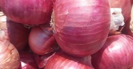 vendemos los siguientes productos agrícolas: aceite de girasol, anacardos,