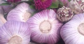 Sirve ajo seco 3,50 € / kg,