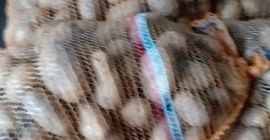 Venderé patatas Lilly envasadas en sacos de 15 kg,