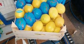 Limón 1a clase, cal. 1/2/3 precio 0,80 € /