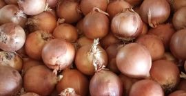 Grupo de producción español TJ Agricultura: ofrece hortalizas, incluidas