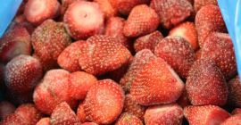 Fresa congelada de Egipto 1,06 euro / kg Recogida