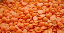 Lentejas rojas partidas Vida útil: 24 meses Especificación: Humedad