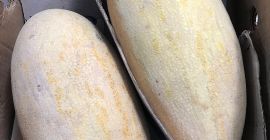 Buenos días, tengo a la venta Melon Tarpeda país