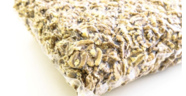 2020 nueces a la venta. Comenzaré la cooperación para