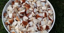 Hola. Venderé hongos porcini secos. Precio por 10 dag