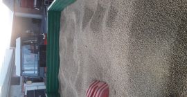 Venderé unas 2 toneladas de soja