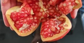 Granadas de productores de España, variedad Mollar (semillas muy