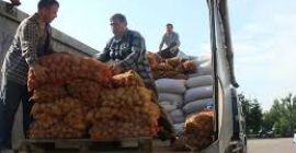 un montón de productos - variedades preferidas de patatas