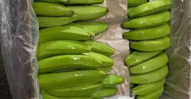 CAVENDISH VALERY-BANANA, 80.000 kg, Viena