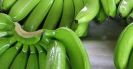 Color Verde, amarillo Diámetro 3-4cm Largo 17-20cm Edad de