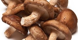 Morel tiene una nutrición rica, de acuerdo con la