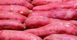 Nombre del producto Batata fresca Color de la fruta