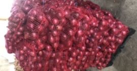 Cebolla morada envasada 5 kg cal 4.5+
